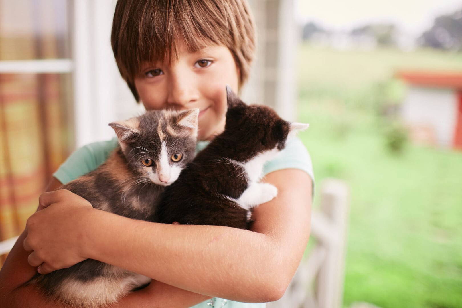 Little boy holds two kitties in his arms