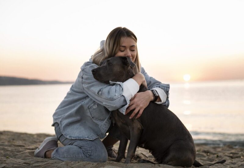 Young woman hugging her pitbull